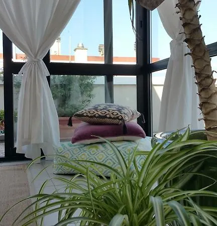 Apartment Cristina' S Flat Misano Adriatico