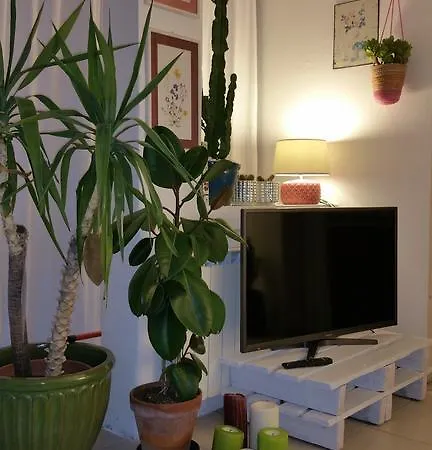 Cristina' S Flat
